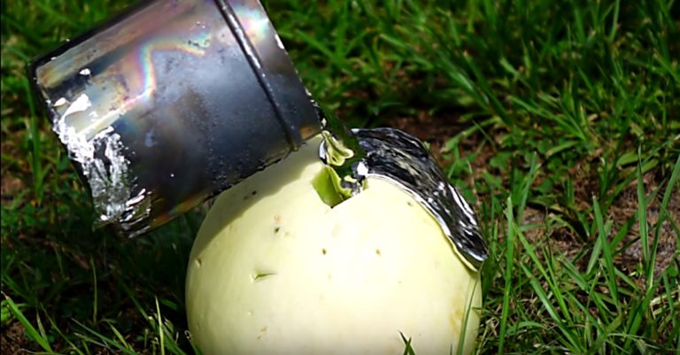 Guy Pours Molten Aluminum In A Melon. Because Science!