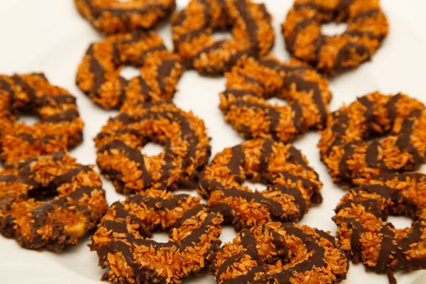 girl scout cookies samoas