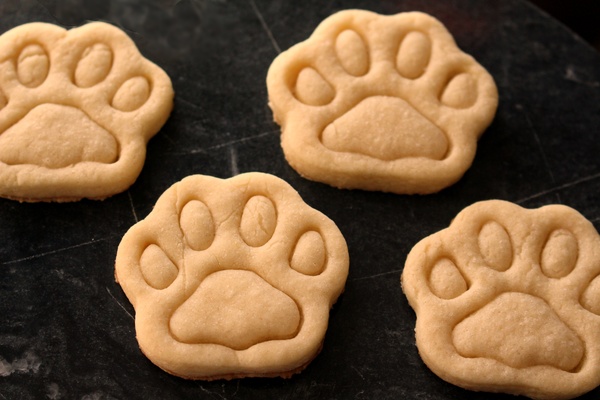 Homemade Peanut Butter Dog Treats 