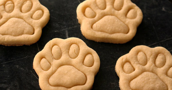 I Can Feel Good About Feeding My Pup These Homemade Peanut Butter Dog Treats! And He Loves Them!