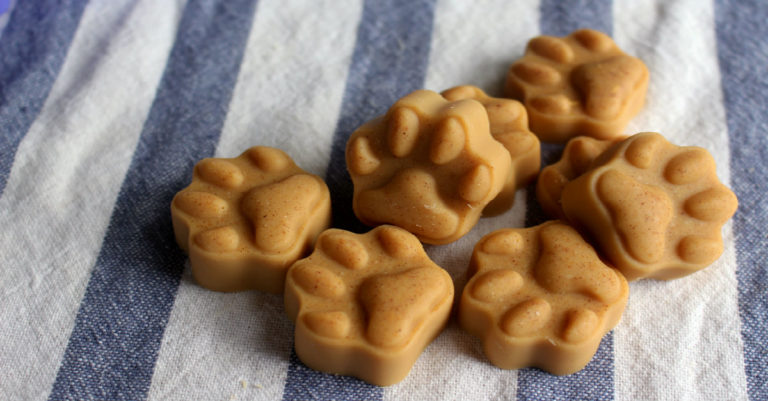 These Simple Dog Treats Help Your Pup’s Coat Stay Healthy & Beautiful! No Baking Required!