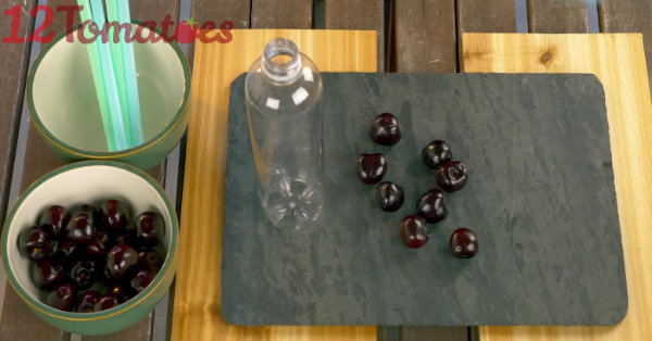 Forget Frozen Fruit – With This Genius Trick, Pitting Cherries Is Easy As Pie!