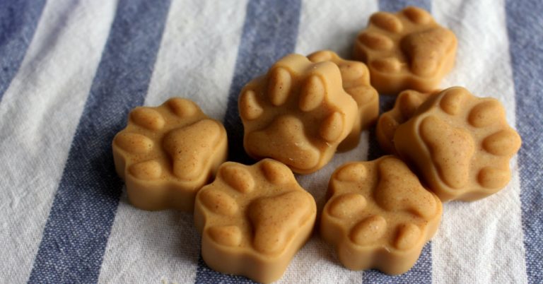 Coconut Oil Peanut Butter Dog Treats