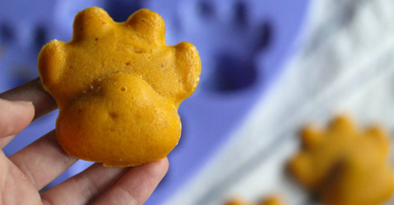 Check Out This Easy Recipe For Tummy-Soothing Pumpkin Dog Treats – Great For Older Dogs!