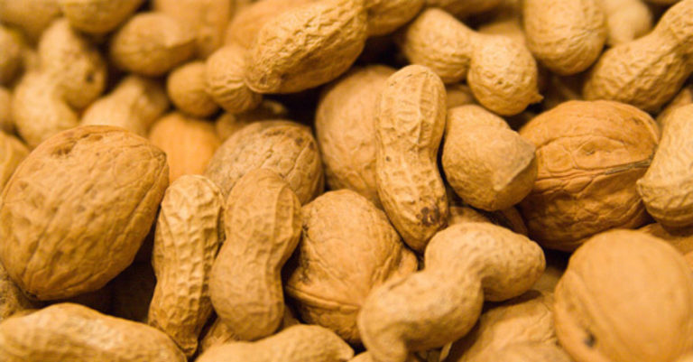 Fight Peanut Allergies With Peanuts? This Crazy Idea Shows Promise