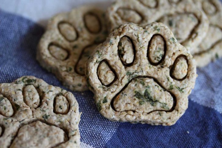 Homemade Mint Dog Treats 12 Tomatoes