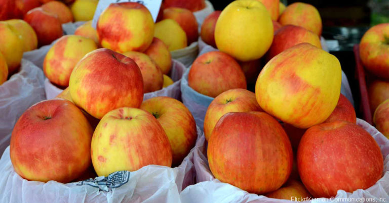 An Apple a Day…These Are the 10 Types of Apples to Know in Your Fruit Section