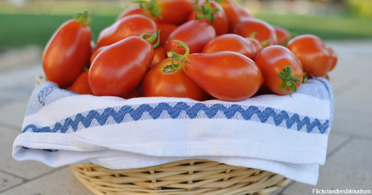 So Many Varieties! Should I Buy Orange Sungolds, Brown Kumato, or Just Romas?