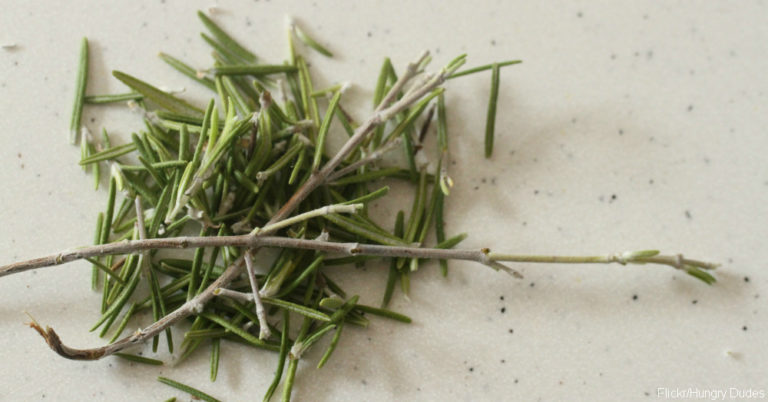 These 10 Everyday Herbs Can Spice Up Your Food and Improve Your Health