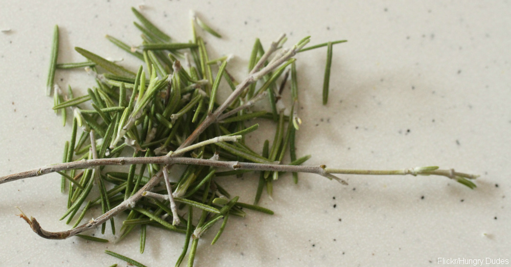 These 10 Everyday Herbs Can Spice Up Your Food and Improve Your Health 12 Tomatoes