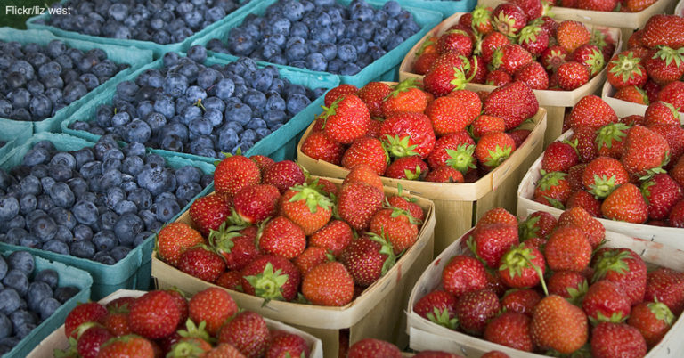 Food Poisoning Is the Worst! Here Are the Foods to Make Sure to Avoid…