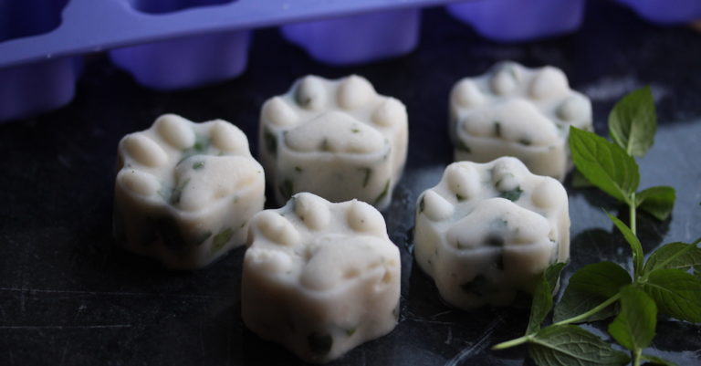 Breath-Freshening Frozen Mint Dog Treats
