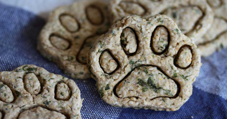 7 Delicious Dog Food Recipes