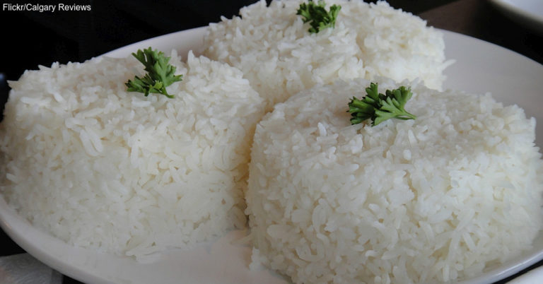 A Tasty Lesson on Different Types of Rice