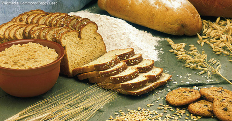 Whole Grain Vs. Multigrain: What’s the Difference?
