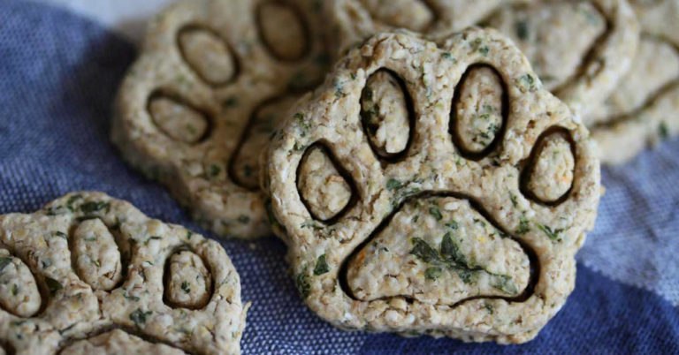 Homemade Mint Dog Treats