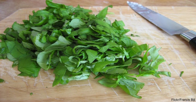 We Found ‘Em – Here Are The 12 Best Herbs To Grow At Home