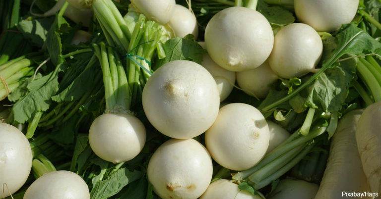 Did You Know Root Vegetables Are Some of the Healthiest Foods on Earth?!