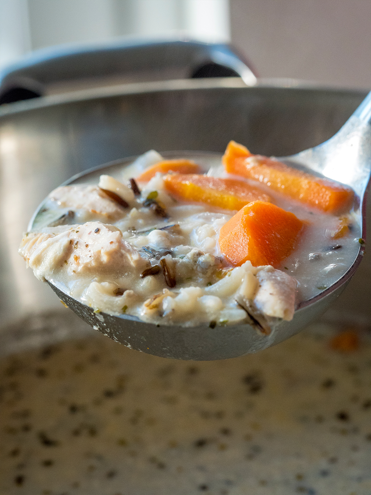 Copycat Panera Chicken and Wild Rice Soup - Gal on a Mission