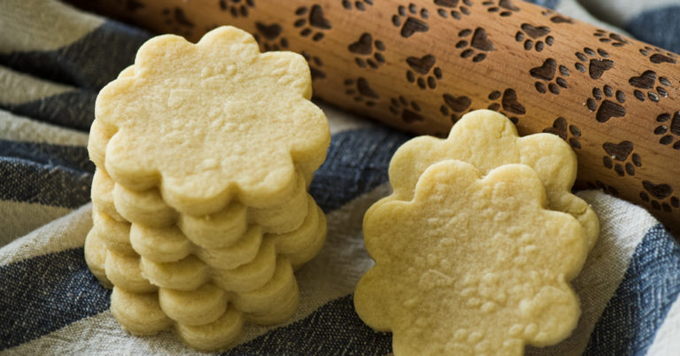 No Chill Paw Print Sugar Cookies