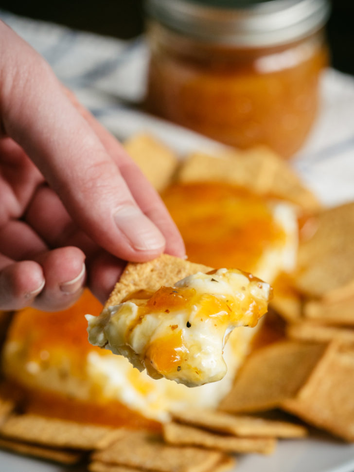 Creamy Hot Cheese Dip ~Sweet & Savory