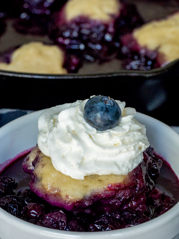 Blueberry Slump-image