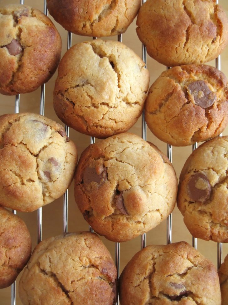 shortening in some cookie recipes crossword