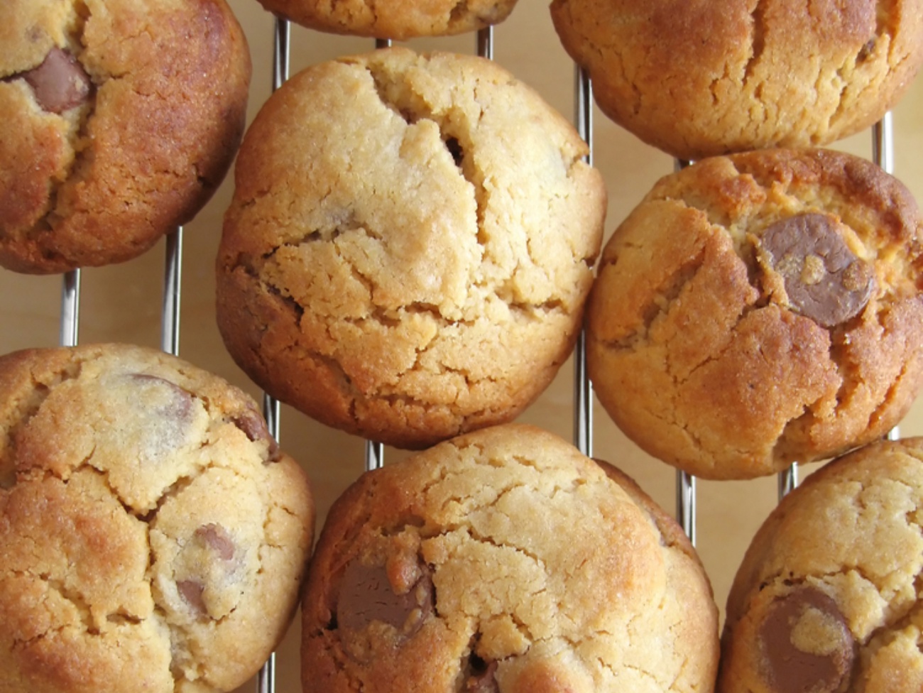 Perfectly Puffy Chocolate Chip Cookies 