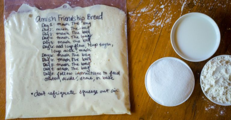 6 Must Try Recipes To Bake With Your Amish Friendship Bread Starter