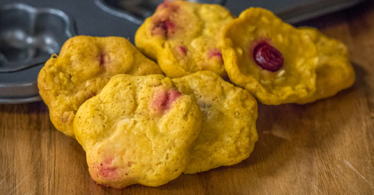 Cranberry Pumpkin Dog Treats