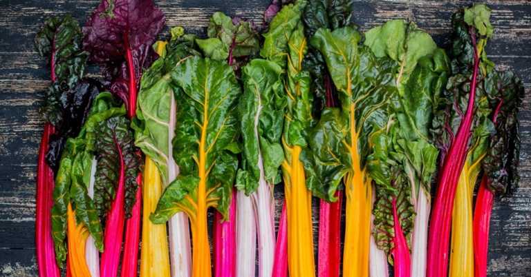 Top ten tastiest winter vegetables (and why they’re good for you)