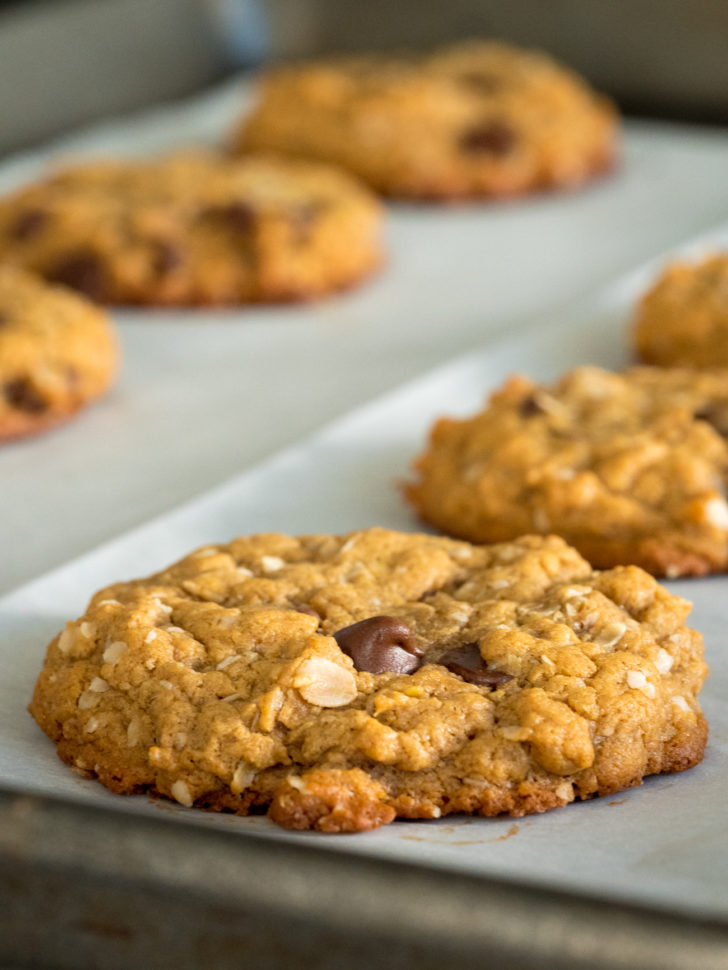 Gluten-Free Peanut Butter Chocolate Chip Oat Cookies | 12 Tomatoes