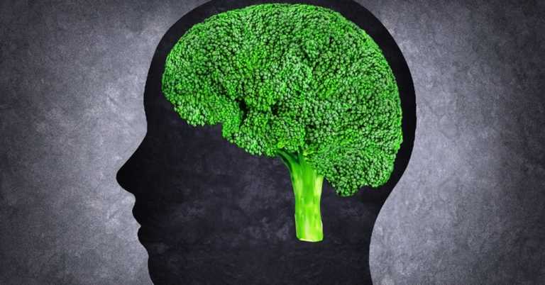 Eat These 5 Foods To Boost Memory