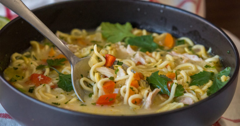 Asian Chicken Noodle Soup