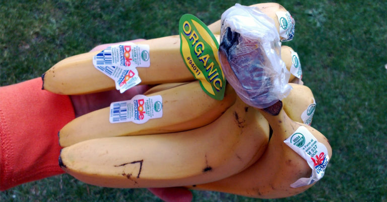 5 Foods You Should Never Buy At Walmart