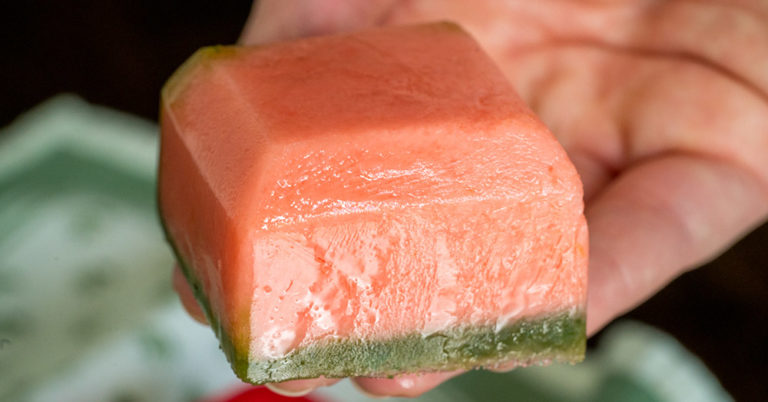 Watermelon Pupsicle Dog Treats