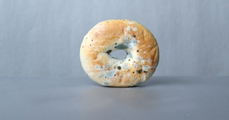 When Does Your Food Expire?