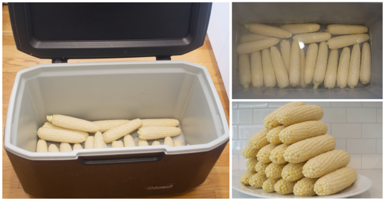 Cooler Corn