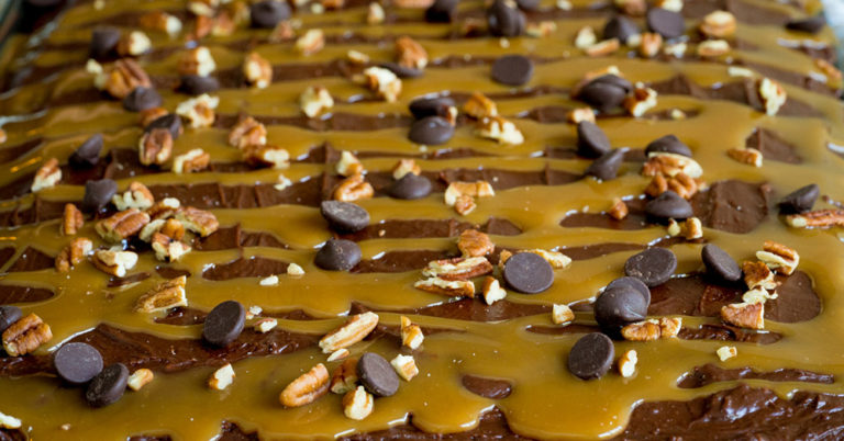 Texas Turtle Sheet Cake