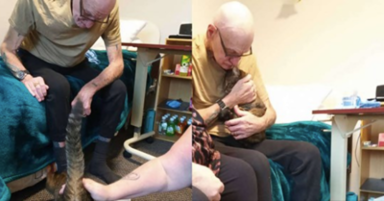 Cat Remembers Former Owner During The Sweetest Visit At Nursing Home