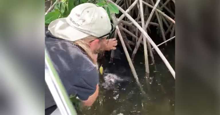 Man Rescues Dog Struggling In Canal — Finds Owners In Just 1 Hour.