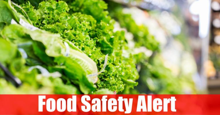 Contaminated Romaine Lettuce Impacts The United States And Canada