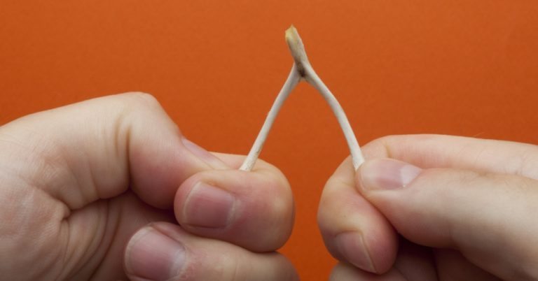 Why Do We Break Wishbones?