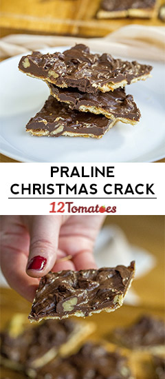 Praline Christmas Bark-image