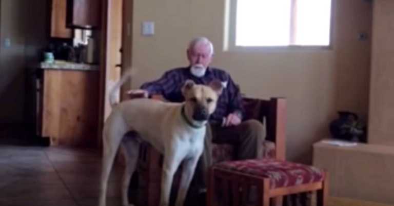 Man With Alzheimer’s Lights Up Whenever He Sees The Family Dog
