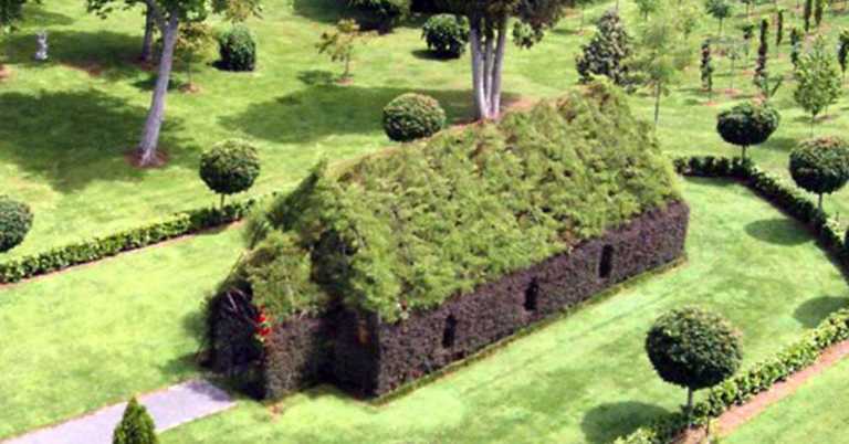 Man Spends 4 Years Building A Church Using Only Living Trees – See Inside