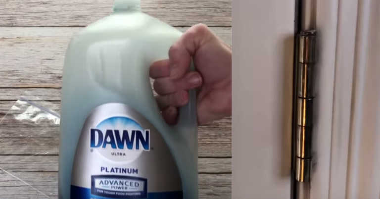 8 Clever Uses For Dawn Dish Soap