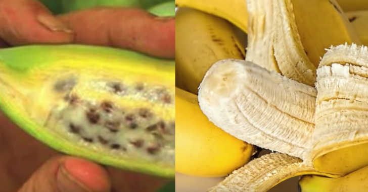 mochipuni banana