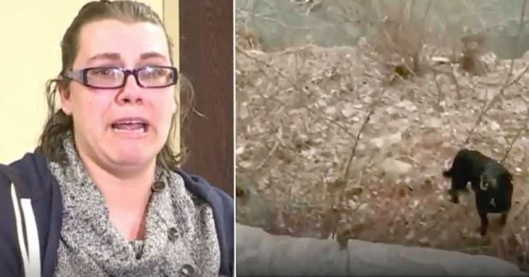 Mom Presumes Dog Is Dead After 73 Days In Bitter Cold When Officers Learn She’s The Town Stray