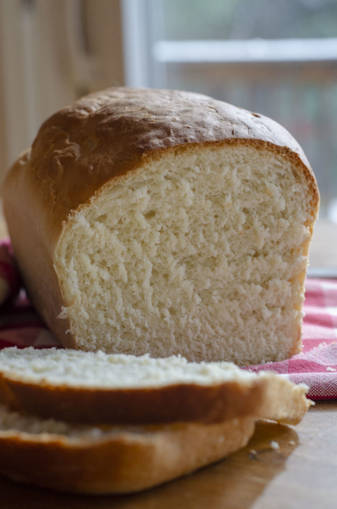 Bread Storage Bag All You Knead is Loaf 